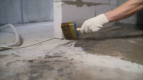 Top rated local Crawl Space Encapsulation specialists in Edgerton, KS